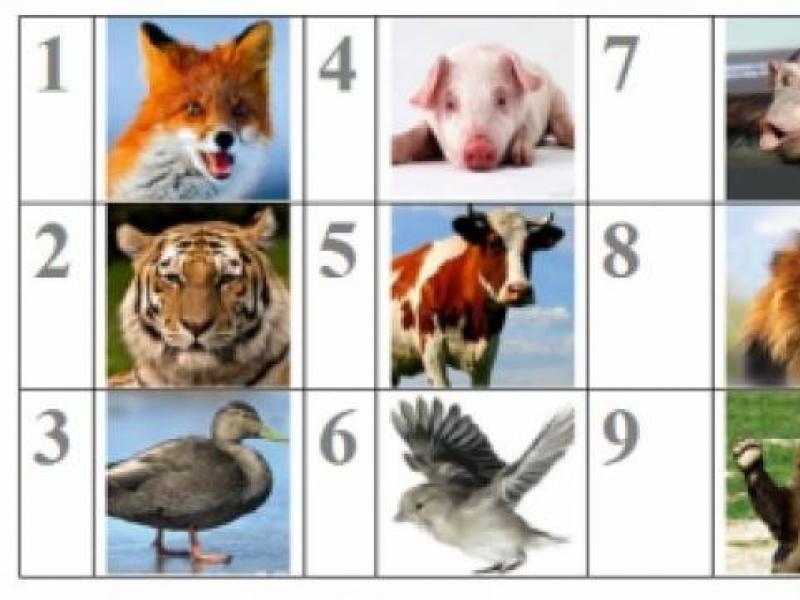 어린이를위한 영어 크로스 워드 퍼즐“동물원의 동물 영어 동물의 어린이를위한 크로스 워드 퍼즐