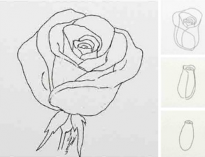 Rysunek 3 Róże Jak Narysować Ołówek Różany Dla Początkujących